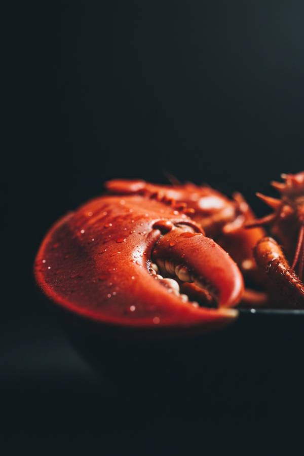 Straight deep sea harvest, zero filler, pure thick lobster meat.